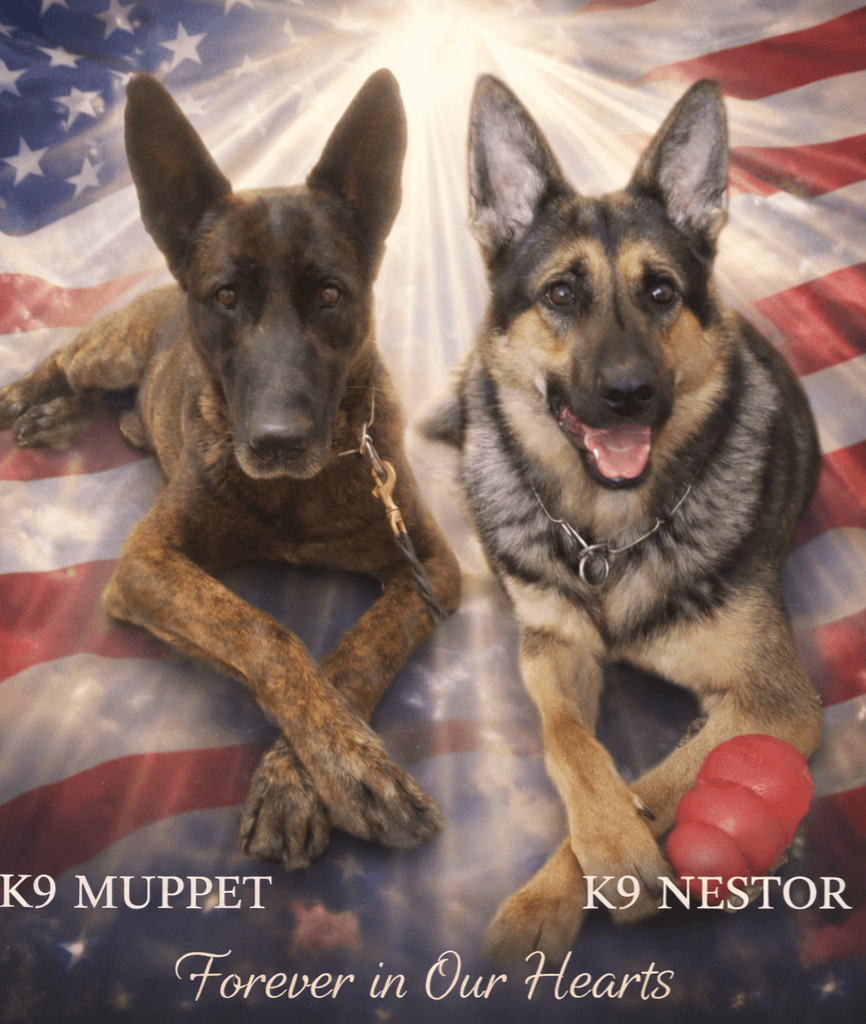 K9 Memorial - Muppet & Nestor